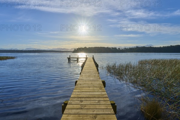 A long footbridge leads through reeds into the water of a lake, the sun is in the sky, Lake