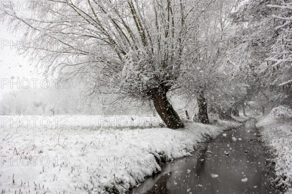 Stream, old drainage ditch in the Rhine floodplains near Meerbusch in winter with snow, Ilvericher