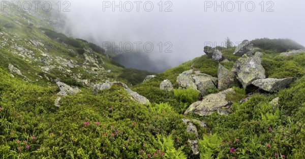 Wisps of mist drift over Kaltenbachsee, Schladminger Tauern, Sölktäler nature park Park, St.