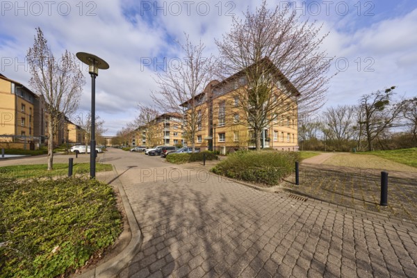 Residential area, apartment blocks, residential building, lantern, bare wintry trees, parking