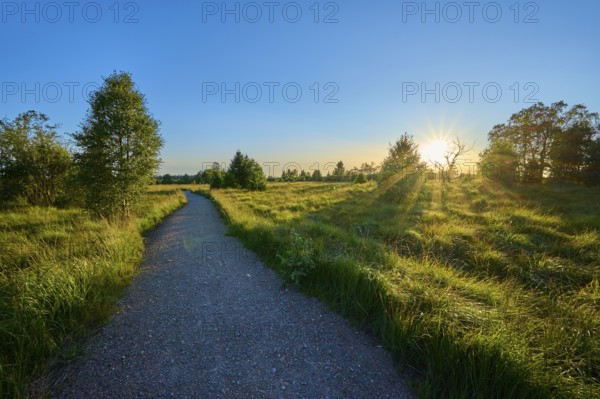 A path leads through nature, illuminated by the sun on the horizon, High Fens, Eifel, Liège,