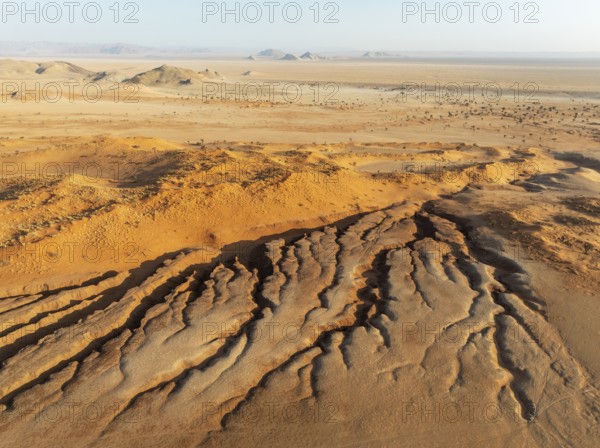Canyon, sand dunes and camelthorn trees (Vachellia erioloba) in the Tsondab Valley in the Namib