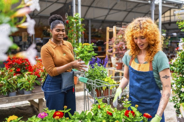 Two young women working in a garden center are pushing a shopping cart full of plants and flowers