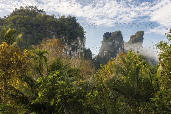 Jungle and rainforest with steep mountains, Khao Sok National Park, Phang Nga, Surat Thani,
