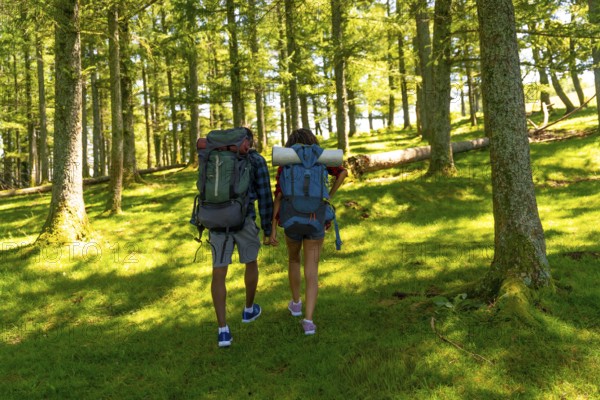 Couple enjoying hiking trip in lush green forest, carrying backpacks and holding hands,