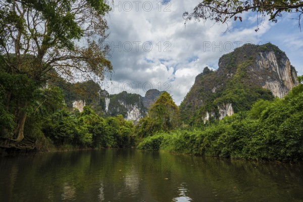 Jungle and rainforest with steep mountains, Khao Sok National Park, Phang Nga, Surat Thani,