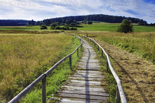 A wooden footbridge leads through the Schopflocher Moor, a raised bog in the Swabian Alb, under a