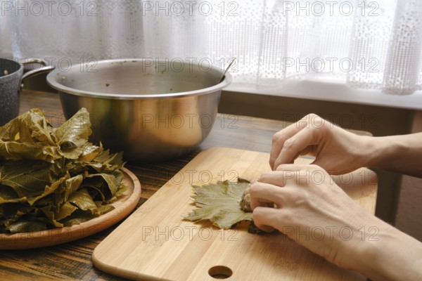 Grape leaves are carefully shaped and filled with a savory mixture in a warm kitchen. Female hands