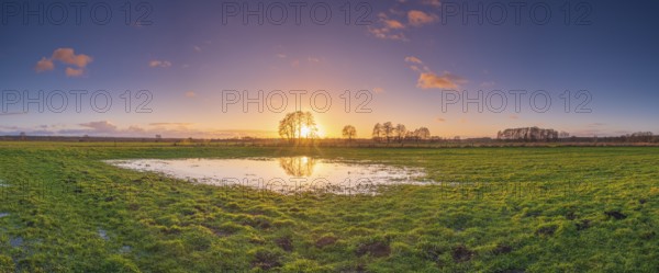 View of a puddle on a meadow at sunset, landscape photo, nature photo, flora, fauna, landscape