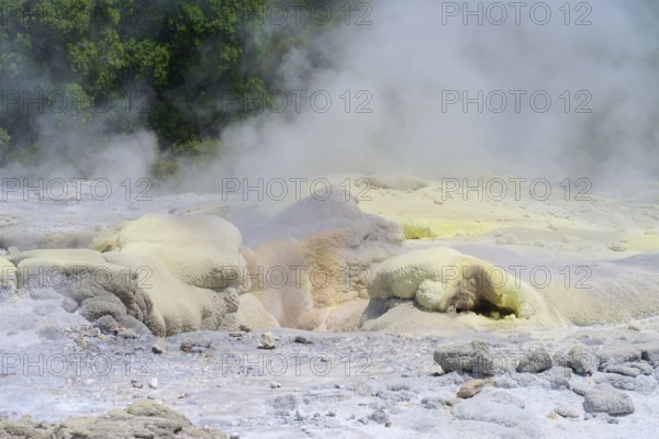 Yellowish sulphur deposits on volcanic formations with rising steam, Te Puia, Whakarewarewa,