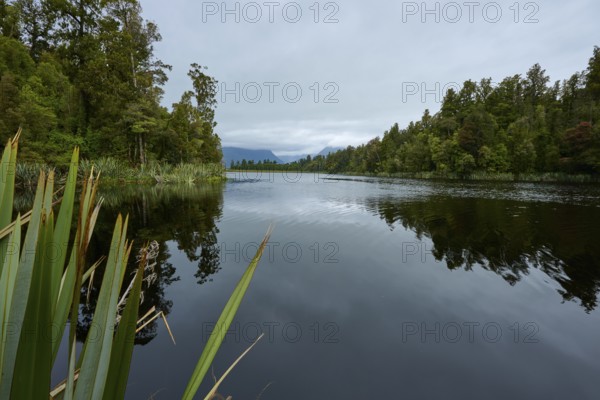 A still lake with shore and trees reflecting in the water under a cloudy sky, summer, Lake