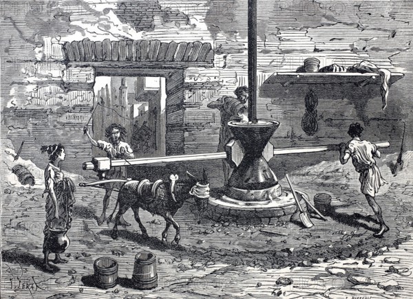 Milling, mill, mill of the ancient Romans driven by donkey and man, grain mill, millstone,