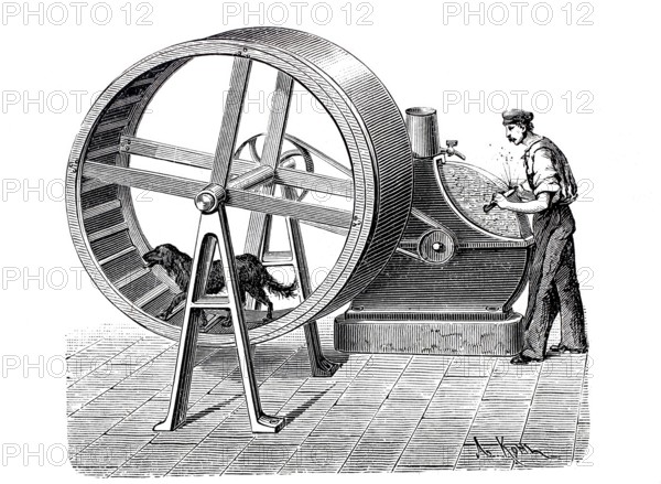 Dog driving the wheel of a whetstone, man sharpening a knife, digitally enhanced reproduction of a