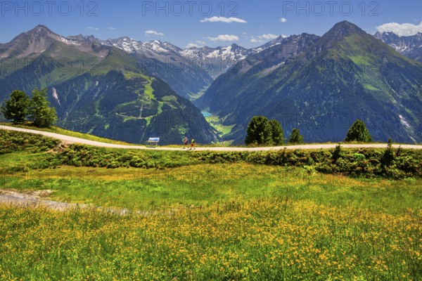 Hiking trail on the Penken with a view of the Stilluptal, Mayrhofen, Zillertal, Zillertal Alps,