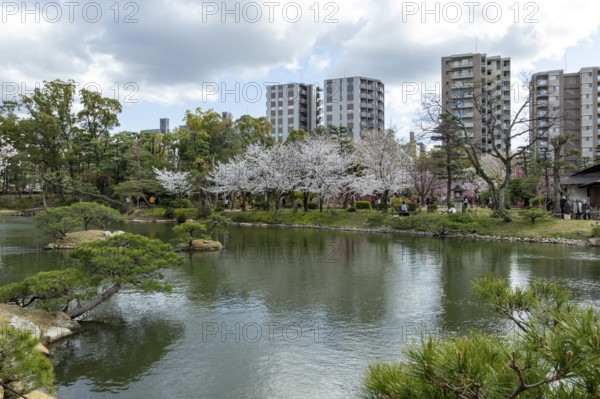 Shukkei-en with blossoming cherry trees, sakura, and Takuei-chi pond in spring, historic Japanese