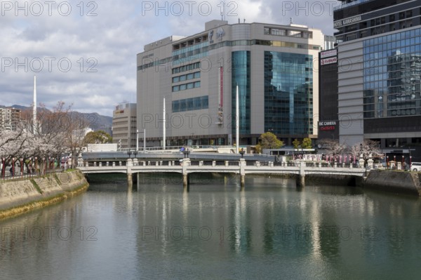 Tourist attraction, place of interest, riverside promenade with blossoming cherry trees, Sakura,