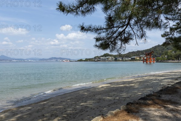 Beach with surf and torii in the water, sight, tourist attraction, UNESCO World Heritage Site,