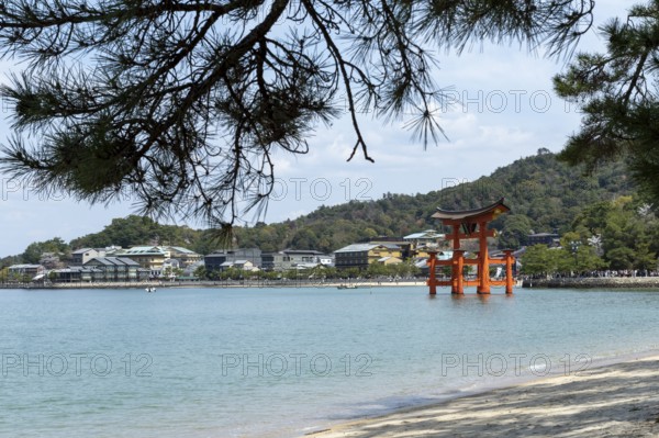 Beach with surf and torii in the water, sight, tourist attraction, UNESCO World Heritage Site,