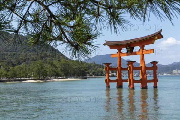 Torii in the water, sight, tourist attraction, UNESCO World Heritage Site, Itsukushima Shrine,