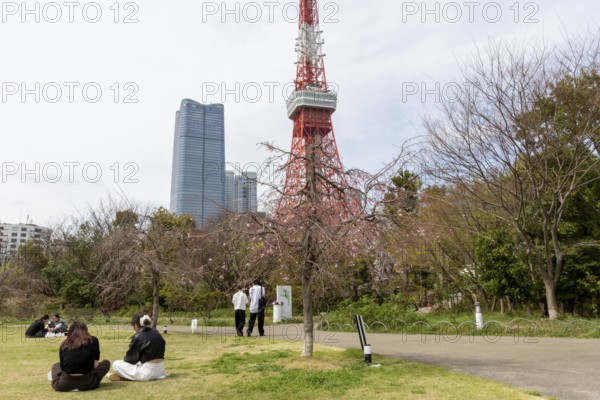 Landmark, tourist attraction, Tokyo Tower and young Japanese people next to a tree with first