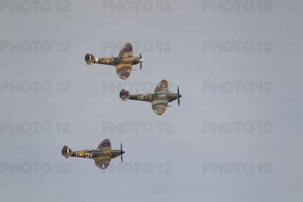Supermarine Spitfire three warbird military aircraft in Royal air force RAF colours flying,