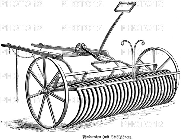Horses rake with steel teeth, iron wheels, draft animal, agriculture in the 19th century,