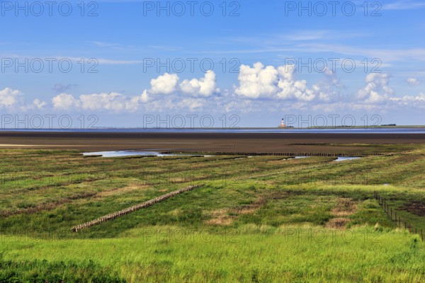 Salt marshes, lighthouse Westerheversand on the horizon, Cumulus, Westerhever, Eiderstedt,