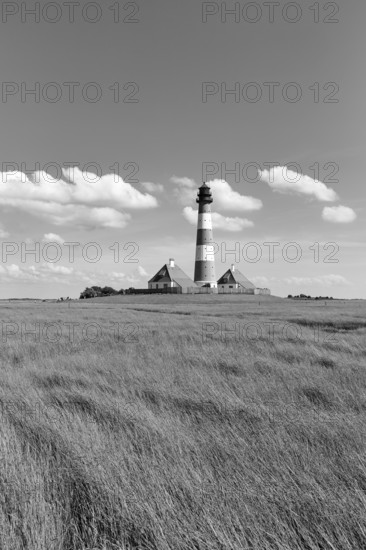 Lighthouse Westerheversand with two houses on a terp, Cumulus, monochrome, Westerhever, Eiderstedt,