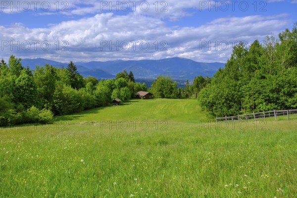 At the Baumgartnerhof, near Finkenstein, Carinthia, Austria