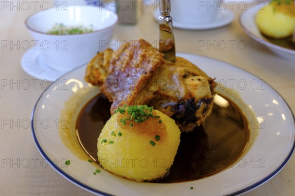 Pork knuckle, with dumpling, Food, Gasthof Herzog Maximilian, Gmund am Tegernsee, Upper Bavaria,