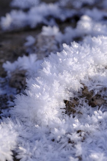 Snow crystals in winter on the young Isar between Wallgau and Vorderriss, Tölzer Land, Upper
