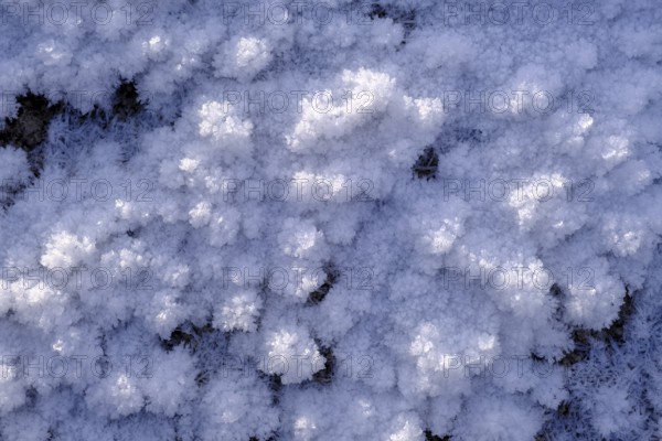 Snow crystals in winter on the young Isar between Wallgau and Vorderriss, Tölzer Land, Upper
