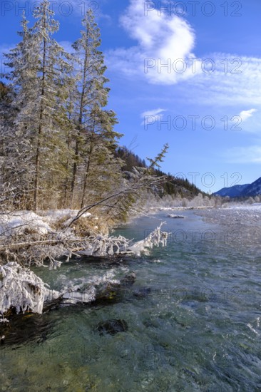 Winter on the young Isar between Wallgau and Vorderriss, Tölzer Land, Upper Bavaria, Bavaria,