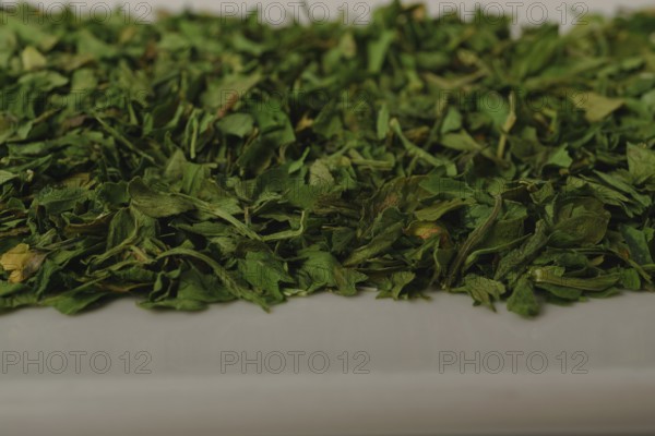 Close-up of dried parsley on a white dish