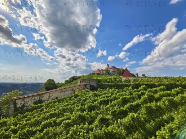 Panoramic view of green vineyards with a castle on a hill under a blue sky Riegersburg Styria