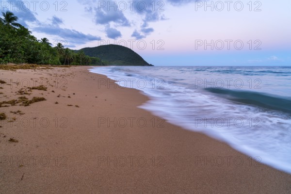 Grande Anse beach, coast and sea at dawn, Deshaies, Basse Terre, Guadeloupe, French Antilles,