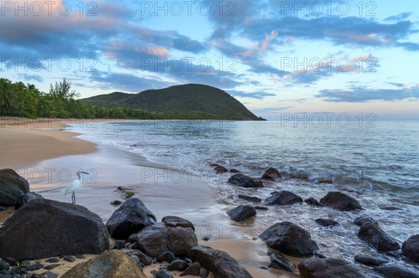 Grande Anse beach, coast and sea at dawn, Deshaies, Basse Terre, Guadeloupe, French Antilles,