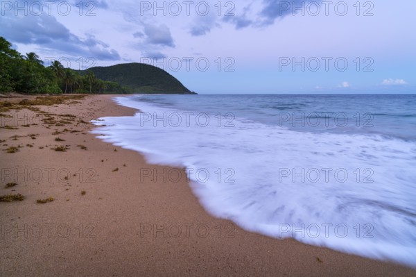 Grande Anse beach, coast and sea at dawn, Deshaies, Basse Terre, Guadeloupe, French Antilles,