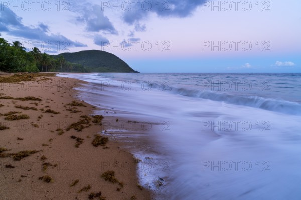 Grande Anse beach, coast and sea at dawn, Deshaies, Basse Terre, Guadeloupe, French Antilles,