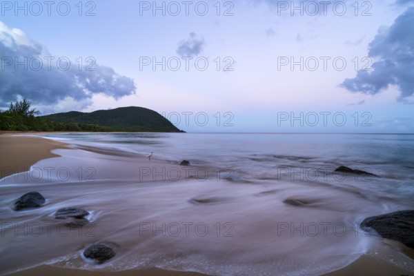Grande Anse beach, coast and sea at dawn, Deshaies, Basse Terre, Guadeloupe, French Antilles,