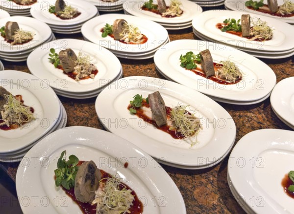 Elegant arrangement of appetiser plates with meat, salad and sauce in a buffet presentation Lower