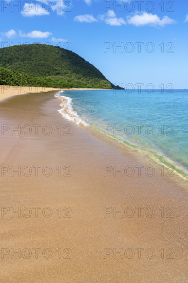 Grande Anse beach, Deshaies, Basse Terre, Guadeloupe, French Antilles, Caribbean