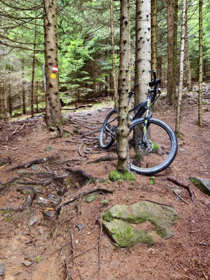 Mountain bike on trees in the forest, surrounded by earth and roots Styria Austria