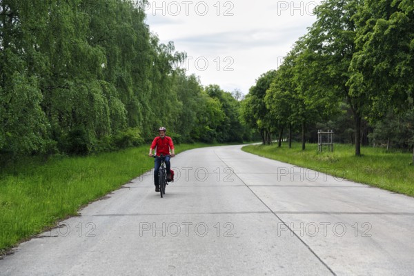 Cyclist on through road, cycle tour across military training area, Senne nature reserve, Teutoburg