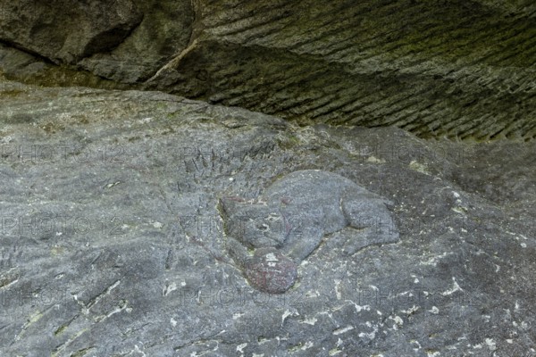 Close-up of a cat figure with a ball of wool carved into the stone on the Shariki-michi Trail to