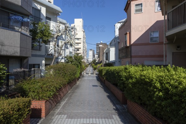 Residential buildings in front of a blue sky in a narrow alley with green plants and idyllic