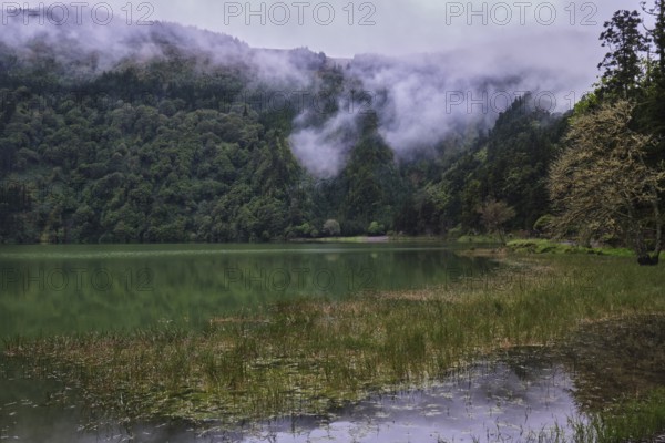 At Lagoa Azul, Sete Cidades, SÃ£o Miguel, Azores, Portugal
