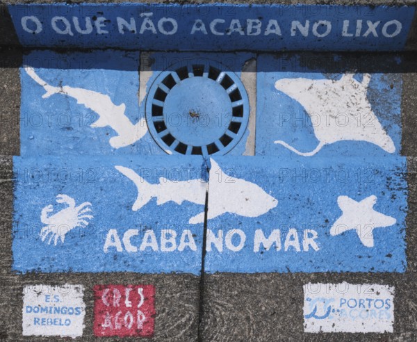 Small painting in the marina of Ponta Delgada (What doesn't end up in the rubbish ends up in the