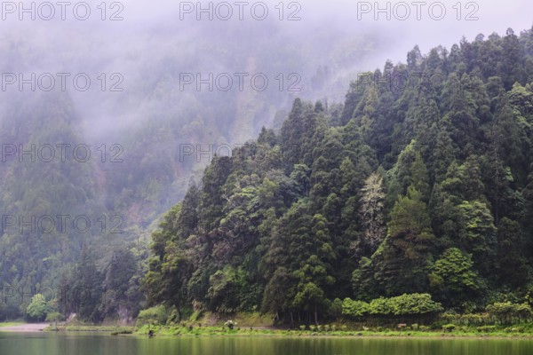 At Lagoa Azul, Sete Cidades, SÃ£o Miguel, Azores, Portugal
