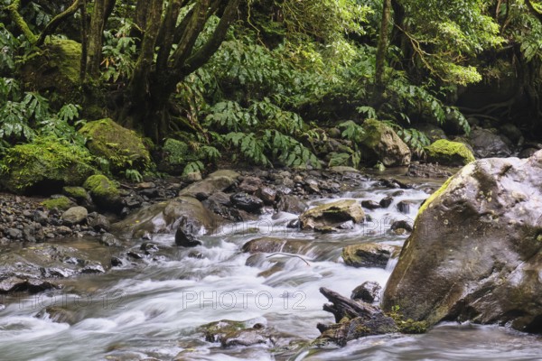 Torrent, Salto do Cabrito waterfall, SÃ£o Miguel, Azores, Portugal